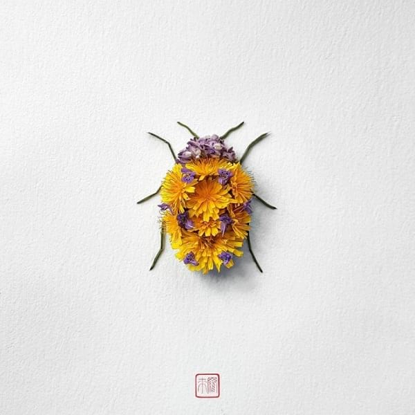 گل ها وحشرات 